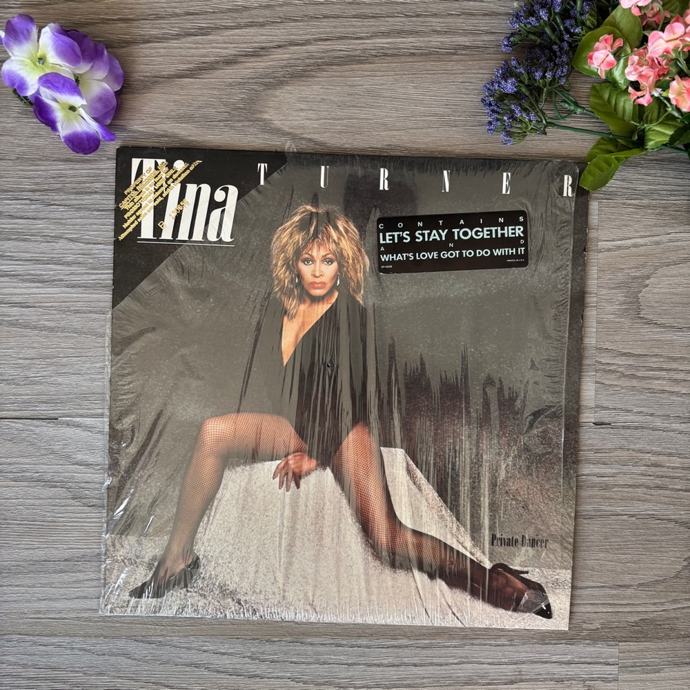 Private Dancer Vinyl Record Album - Black Cover